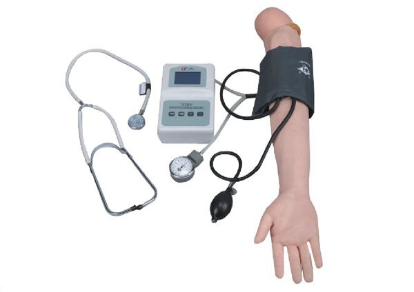 完整静脉穿刺手臂模型|高级手臂血压测量训练模